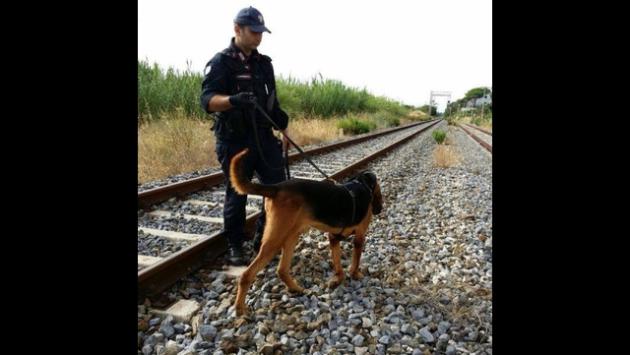Giovane 18enne trascinata in area verde e abusata nel Milanese