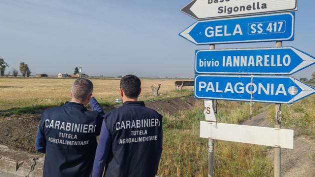 ++ Aerei israeliani a Sigonella, ridecollati dopo poche ore ++