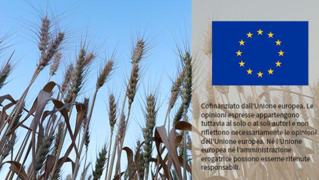 L'Ue verso la semplificazione delle norme di sicurezza alimentare