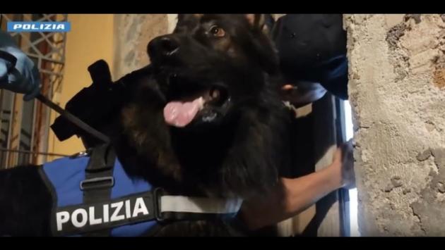Droga ed estorsioni, ordinanza per 14 del clan Scalisi