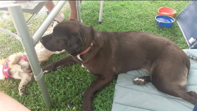 Travolta e uccisa dalla piena, riconosciuta da marito e figlio