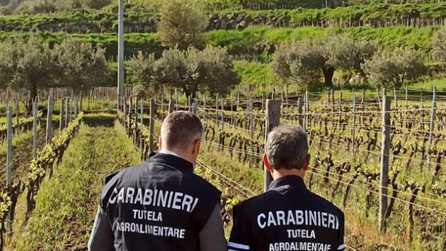 Vende falso vino Zibibbo, denunciato imprenditore tedesco