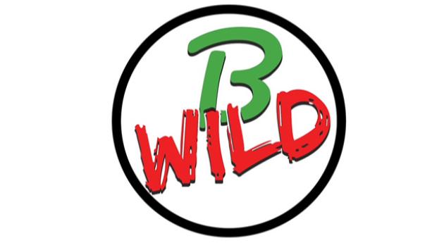 B-Wild