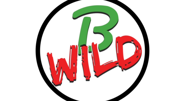 B-Wild – Storie di viaggio