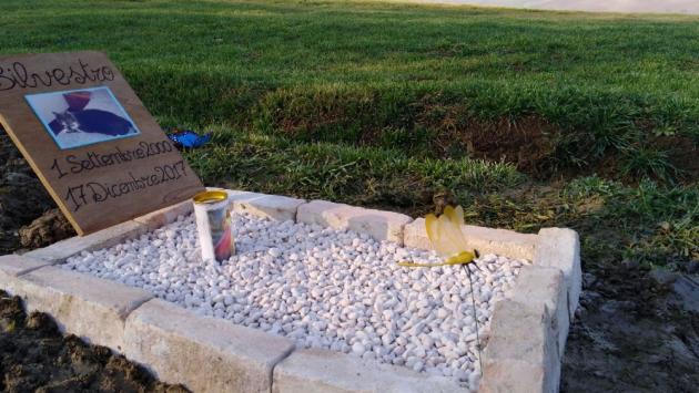 Primo sepolto al cimitero per animali: il gatto Silvestro
