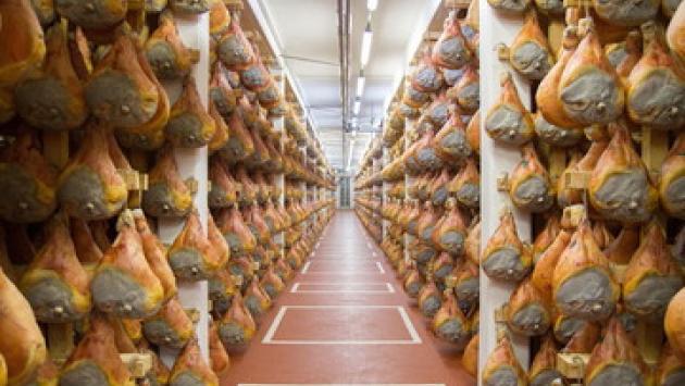 Maiali danesi per i prosciutti dop: patteggiano in dieci