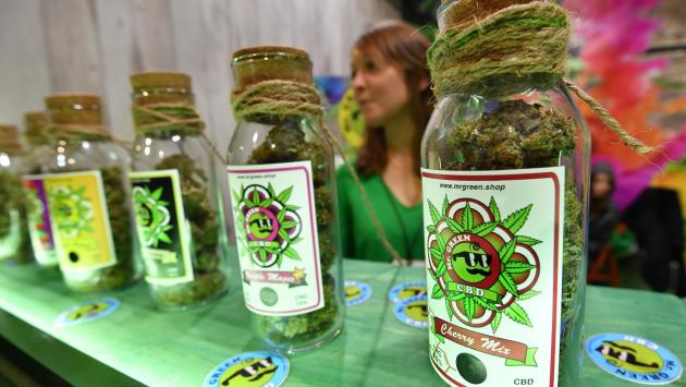 Stretta del governo sulla vendita della cannabis light