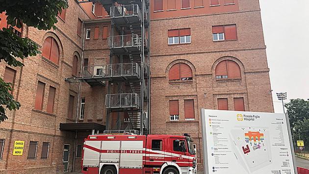 Sciame di api: intervengono i vigili del fuoco