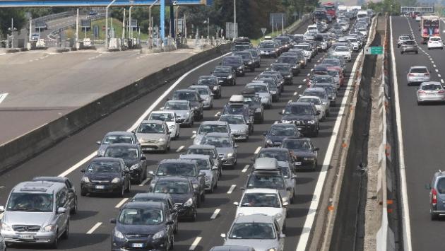 Tir si ribalta e perde il carico, mucche in autostrada sulla A4
