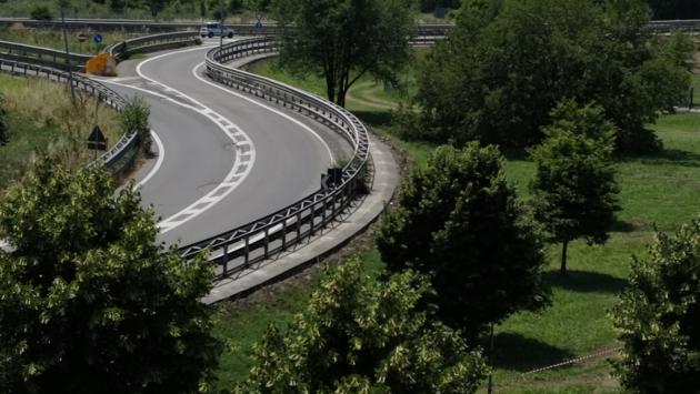 Fognano, l'arbusto "protetto" tra le barriere
