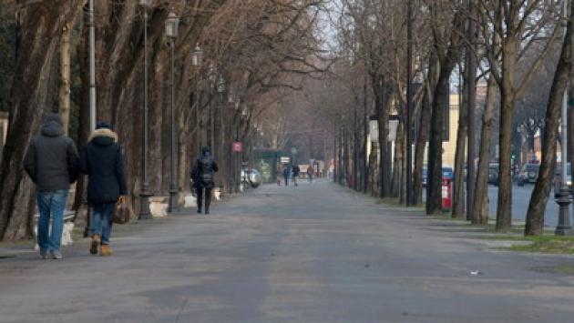 Alinovi: "15 nuovi ippocastani sullo Stradone". Via libera alla nuova scuola superiore  dietro al Rondani 