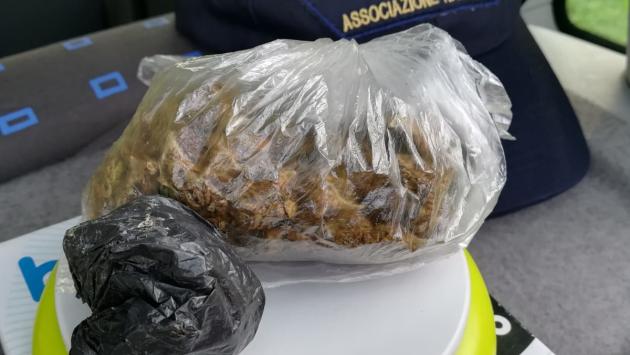 Recuperati 22 grammi di marijuana