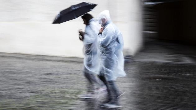 Bologna, il maltempo e il vento forte provocano qualche ferito