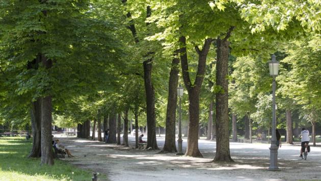 Furto e rapina: arrestato marocchino nel parco Ducale