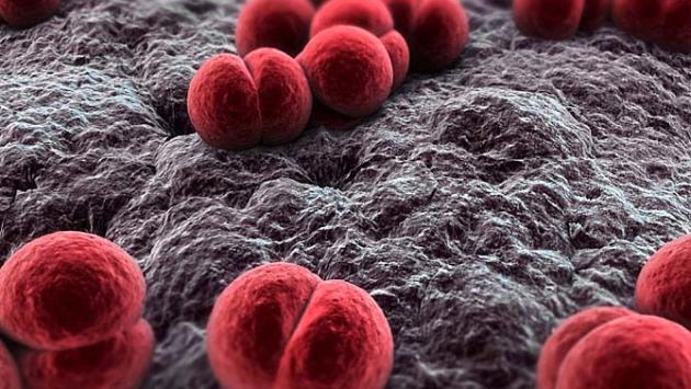 Meningite, 35enne trasferito da Parma a Guastalla: è ancora grave
