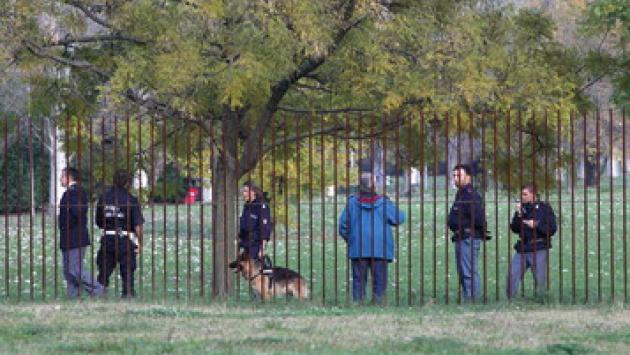 Parco Falcone e Borsellino, scoperto più di un etto e mezzo di hashish e di marijuana