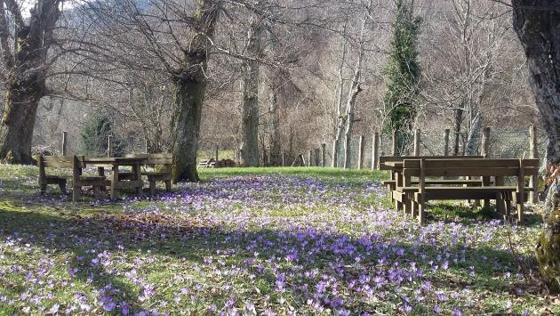 Primavera a Corchia 