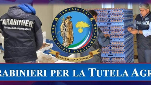 Sequestrati 10 tonnellate di miele con etichette prive delle indicazioni obbligatorie