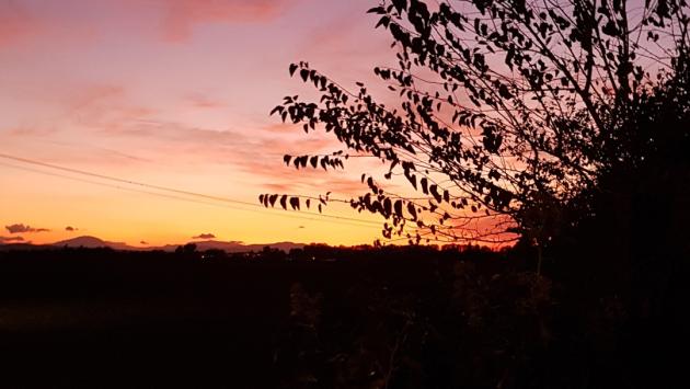 Tramonto ad Alberi
