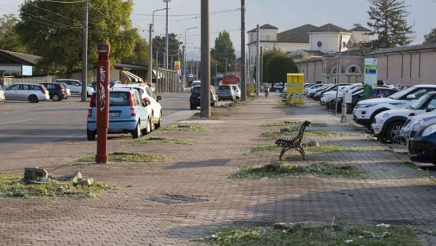 Addio ai pioppi.  Per viale Villetta  in arrivo le querce 