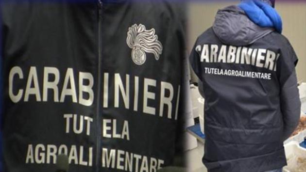 Operazione “Crudo”, 26 ristoranti setacciati dai carabinieri: sequestrati 200 kg di prodotti