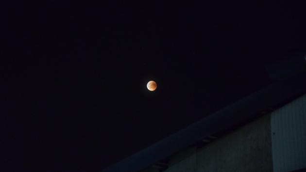 "Blood Moon" da Noceto!!