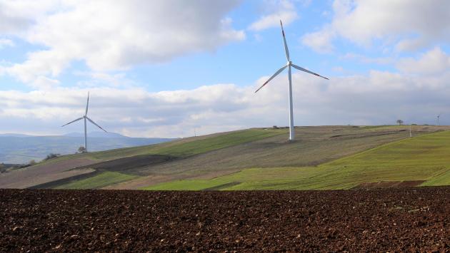 Il grande dilemma  dell'economia green