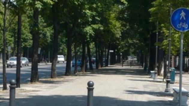 Verde pubblico: tutte le strade in cui sono previsti interventi. Potature in vista per Cittadella, parco Ducale e Stradone