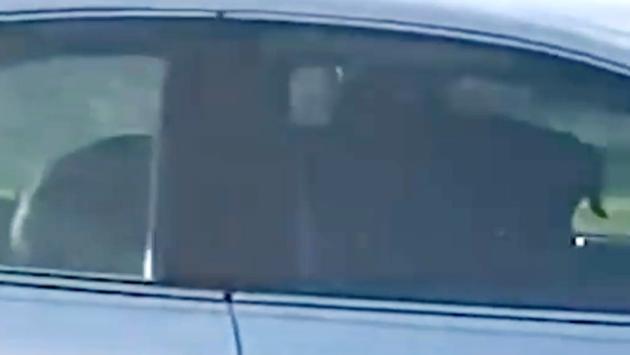 Cane "guida" l'auto del padrone per quasi un'ora - Video 