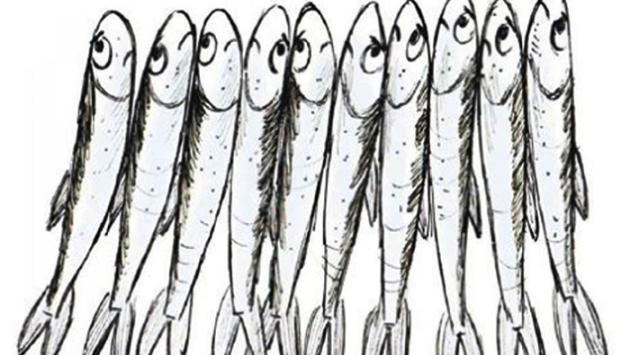 Post choc del prof agli  alunni: se vi becco tra le sardine è  l'inferno