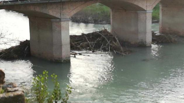 Ponte Dattaro, greto della Parma intasato da tronchi secchi