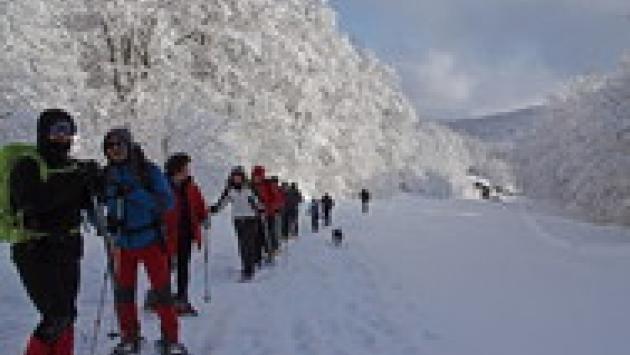 I 5 appuntamenti imperdibili del fine settimana