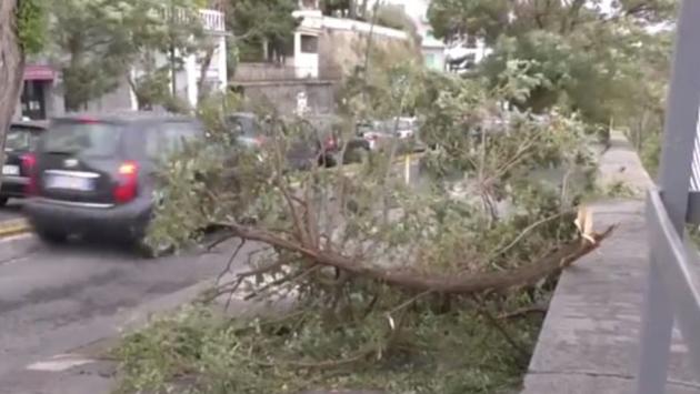 Maltempo, albero cade a Napoli: un morto