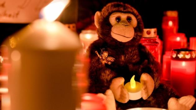 Strage scimmie,uccise da lanterne cinesi
