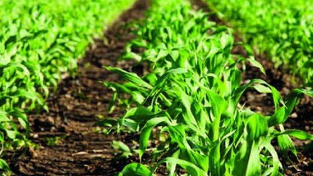 Riscoprire i valori della terra è un’occasione per i più piccoli