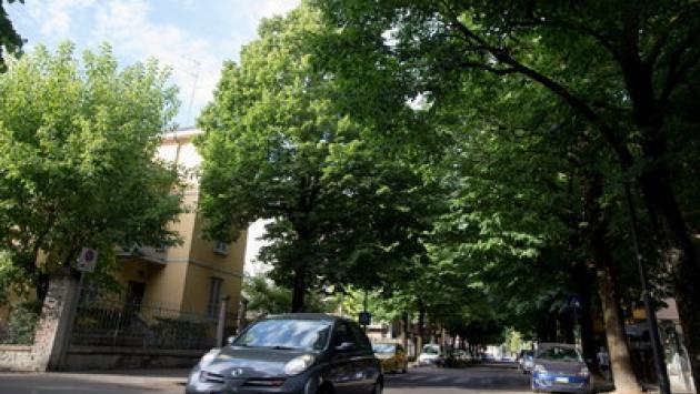 Potatura di via Spezia, si transita in una corsia