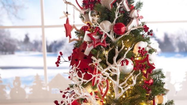 Sai davvero addobbare un albero di Natale?