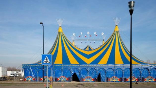 Rissa al circo: tre animalisti feriti