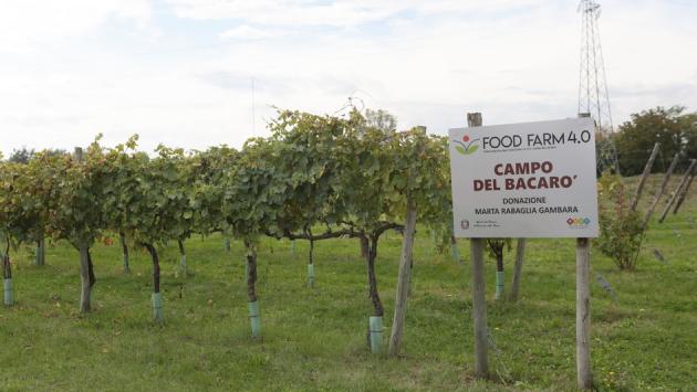 Sport Day 2020 al Campus e Food Farm 4.0: un modello per l'Italia
