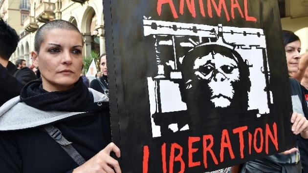Sospesa la sperimentazione sui macachi, Rettore e Pro Rettore: 'La ricerca è un bene universale'