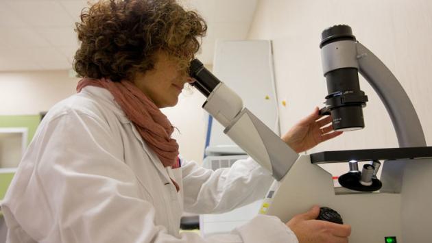Microbiota intestinale, scoperto freno a sviluppo tumore