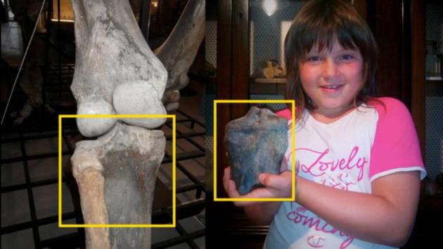 Emma (8 anni) e il mammuth ritrovato