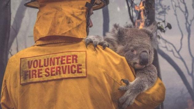Emergenza incendi, da Barilla una donazione a favore di WWF Australia