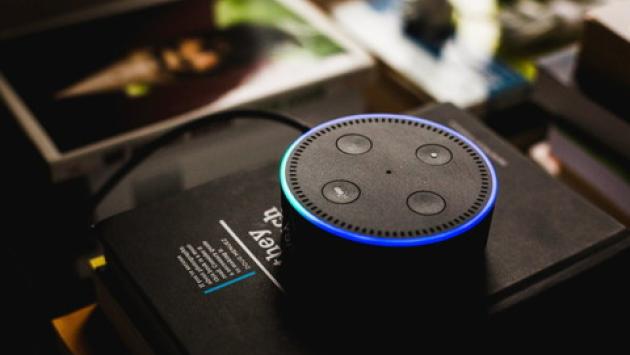 Alexa suggerisce a una bimba: "Inserisci una moneta nella presa». Amazon corregge il software