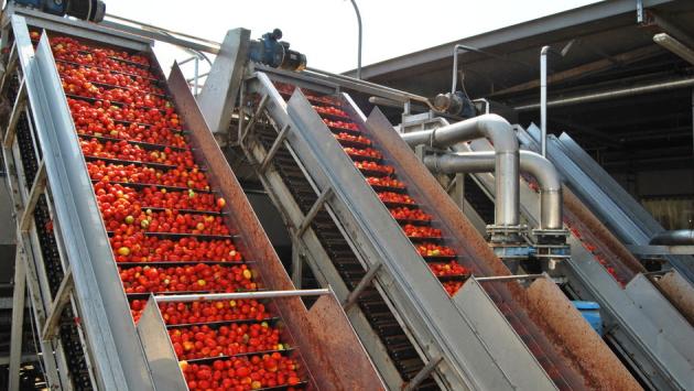 Pomodoro da industria: accordo  sul prezzo a 88 euro