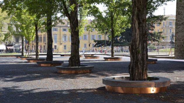 Verde pubblico: la 'mappa' degli alberi malati da abbattere e sostituire. E altri 65 donati da privati