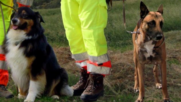 Un'altra parmigiana scomparsa da casa: dopo avere lasciato l'auto a Marore ha fatto perdere le  sue tracce