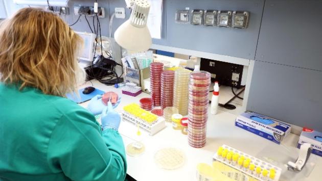 Coronavirus, 27 casi a Parma.  Un 86enne bussetano è in Rianimazione. Un positivo  a Soragna e due a Corniglio