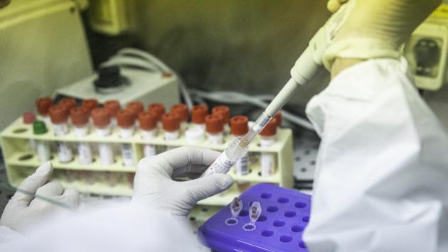 Identificato primo caso vaiolo delle scimmie in Italia