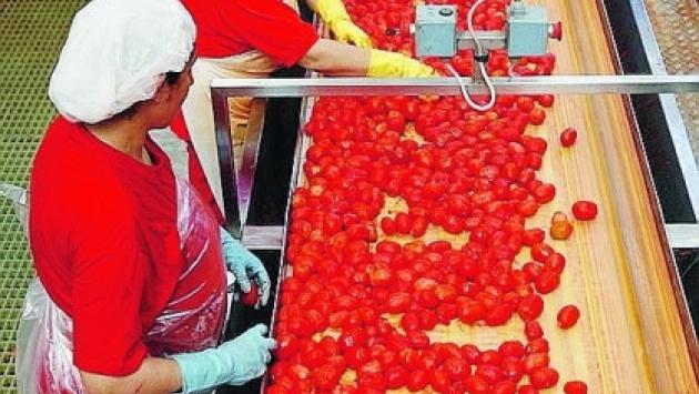Pomodoro, la Coldiretti: "Chiudere al più presto l'accordo quadro 2022"